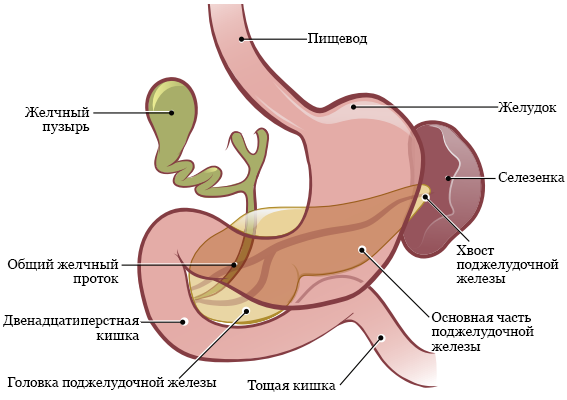 Розовая кухня: снимает напряжение и расширяет пространство